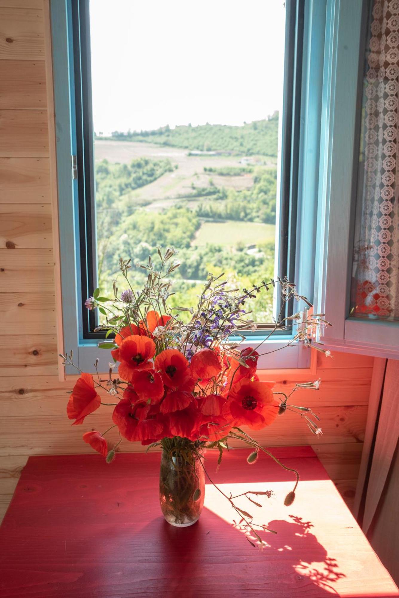 Agriturismo La Rovere - I Carrozzoni Gitani Cossano Belbo Exteriör bild